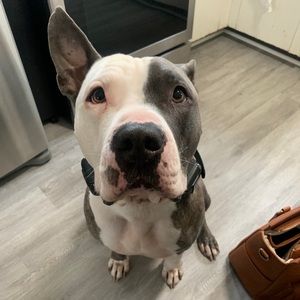 Meet your Posher, Phyllis